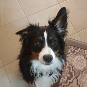 Meet your Posher, Beth